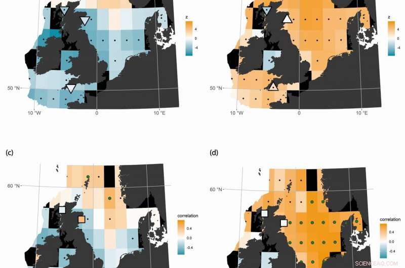 Study Uncovers Six Decades of Change in Plankton Communities