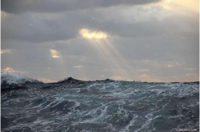 Tiny Phytoplankton May Reduce Carbon Sequestration in North Atlantic Ocean