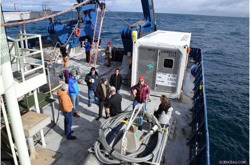 Tiny Phytoplankton May Reduce Carbon Sequestration in North Atlantic Ocean