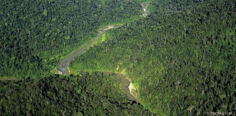 Indonesia’s Conservation Areas Falling Short: What’s Blocking Their Full Potential