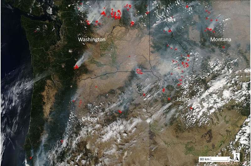 New Study Links Climate Change to Increased Wildfire Threats in the Pacific Northwest