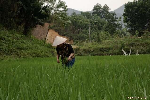 Empowering Developing Nations to Adapt to Climate Change