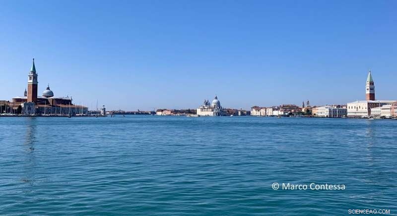 How Citizen Science Tracked Ecosystem Shifts Amid COVID‑19 Lockdowns