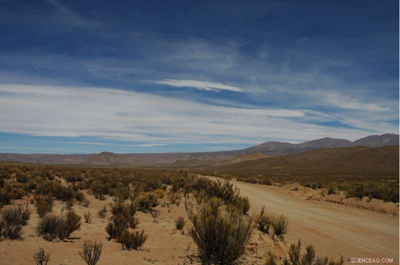 Future Climate Change Accelerates Dryland Expansion and Alters Productivity