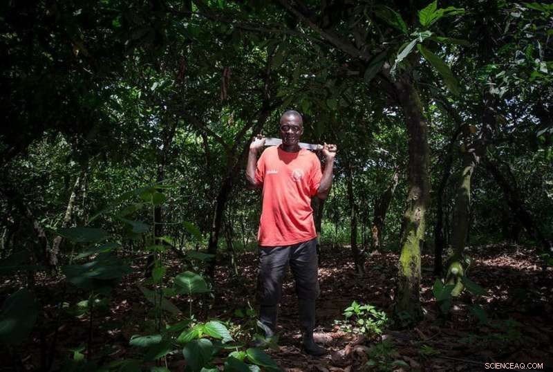 Ghana’s Cocoa Industry Faces Environmental Challenges—Why Better Protection Is Essential