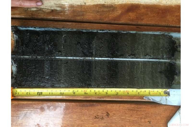 Study Reveals Climate Change Prompted Earlier Colonisation of South Pacific Islands