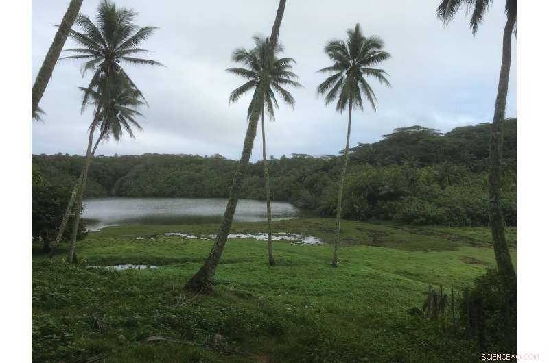Study Reveals Climate Change Prompted Earlier Colonisation of South Pacific Islands