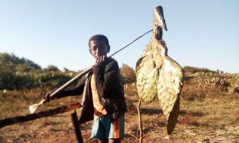 How Indigenous Wisdom Can Help Island Communities Combat Climate Change