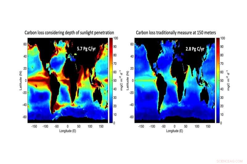 Ocean Biological Pump Sequesters More Carbon Than Previously Estimated