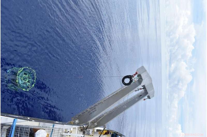 How the Ocean Reacts to Global Warming