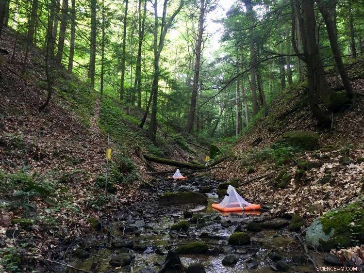 Mountaintop Mining Pollution Persists in Waterways, Threatening Ecosystems