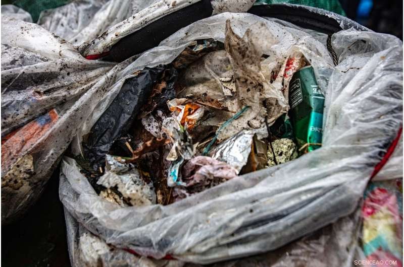 Litter Levels on England’s Protected Coasts Match Unprotected Beaches