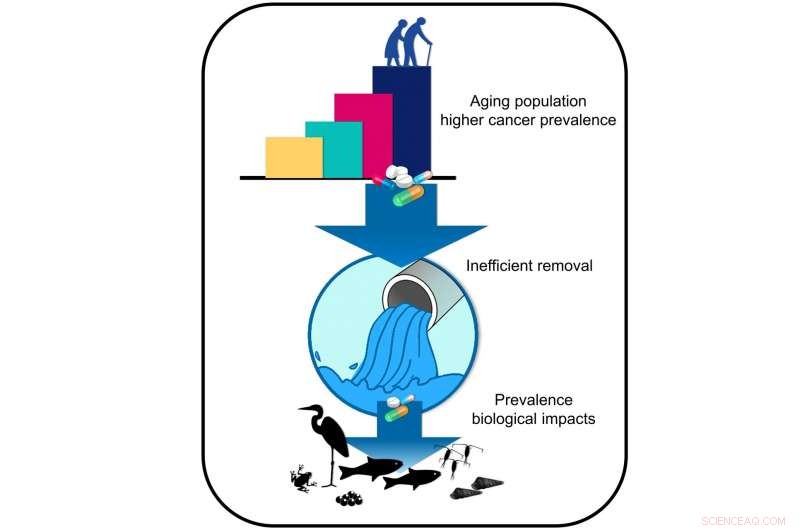 Assessing the Environmental Impact of Chemotherapy Drugs: Risks and Mitigation