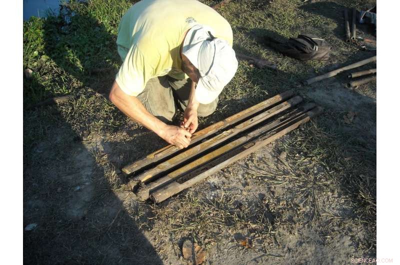 Amazonian Crops First Domesticated 10,000 Years Ago