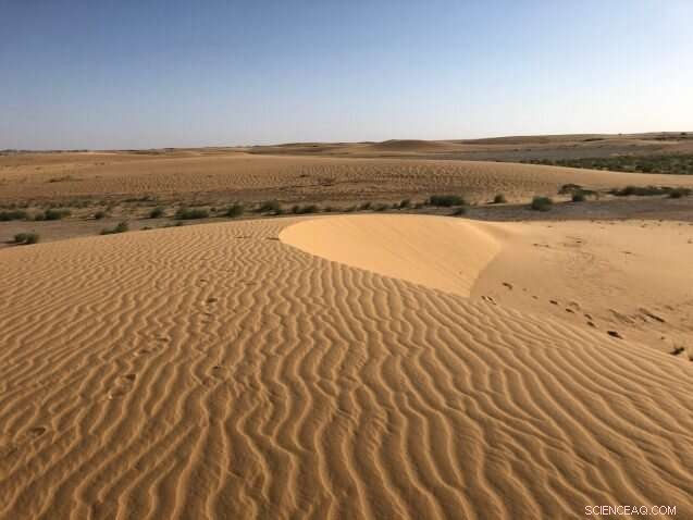 How Early Humans Adapted to Climate Change: Insights from Paleoclimatology