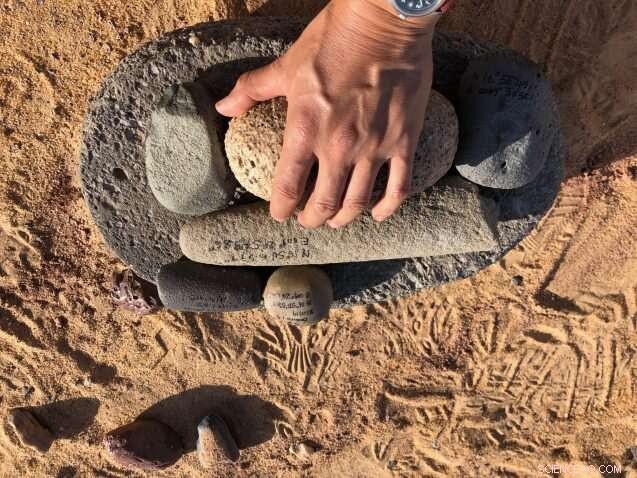 How Early Humans Adapted to Climate Change: Insights from Paleoclimatology