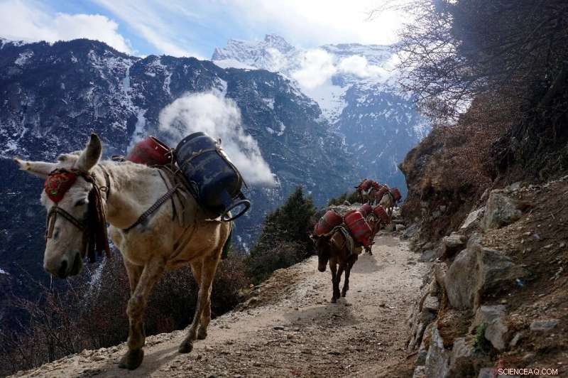 Nepal Cancels Everest Clean‑Up Amid COVID‑19 Restrictions