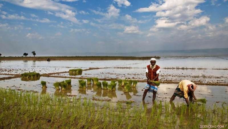 Bangladesh s Water Contamination: Rising Levels of Antibiotics, Drugs, and Chemicals