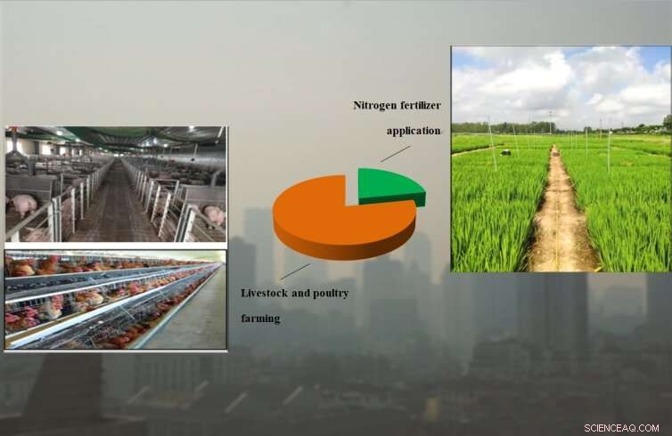 Targeting Livestock and Poultry Farming: The Key to Reducing Agricultural Ammonia Emissions