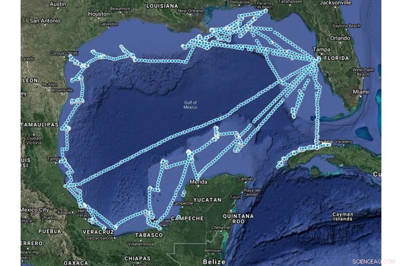 New Study Reveals Deepwater Horizon Oil Persists in Gulf Fish Livers and Ocean Floor