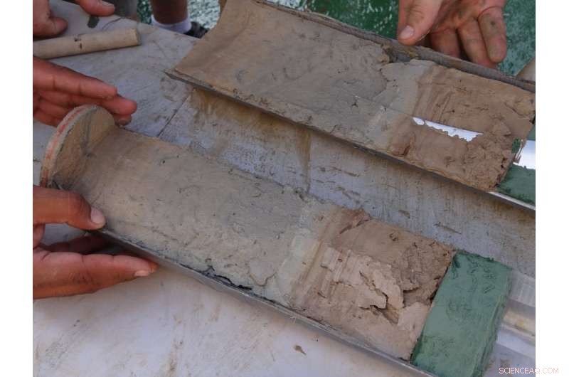 New Study Reveals Deepwater Horizon Oil Persists in Gulf Fish Livers and Ocean Floor