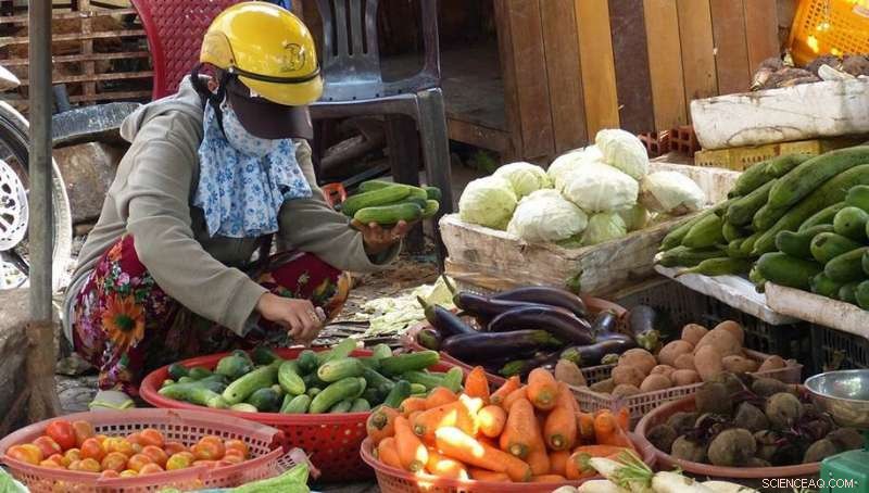 COVID-19 Highlights Urgent Need for Strengthened Food Security