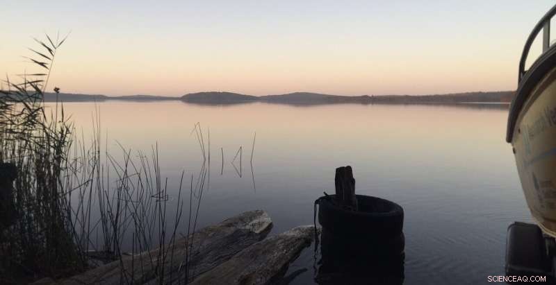 South‑East Australian Estuaries Heat Up Twice as Fast as Oceans and Atmosphere, New Study Reveals