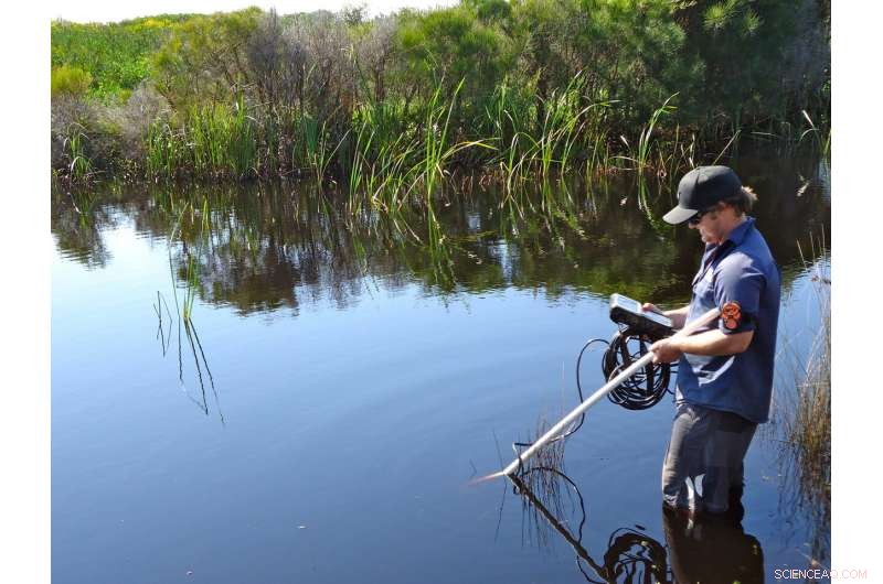 South‑East Australian Estuaries Heat Up Twice as Fast as Oceans and Atmosphere, New Study Reveals