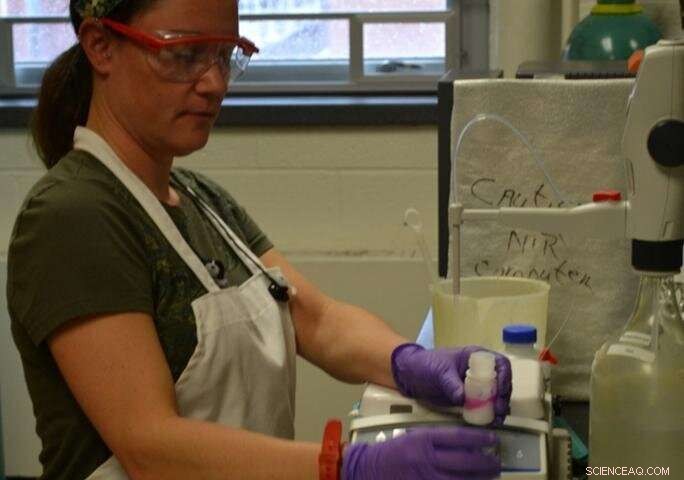 Assessing Soil Carbon and Nitrogen Mineralization Following the Initial CO₂ Flush