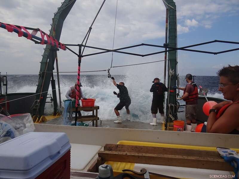 First Gulf-Wide Oil Pollution Survey Concludes a Decade After Deepwater Horizon