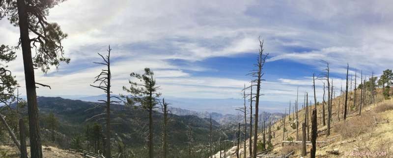 Warming Exacerbates US West Megadrought: Study Shows Worst Conditions in Modern History