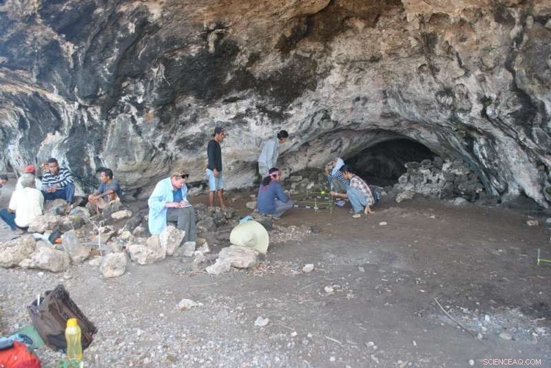 Climate Change and Prehistoric Foraging in Indonesia: How Shifts in Temperature Reshaped Human Diets