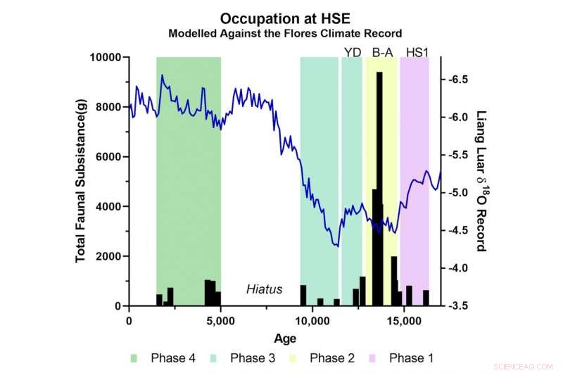 Climate Change and Prehistoric Foraging in Indonesia: How Shifts in Temperature Reshaped Human Diets