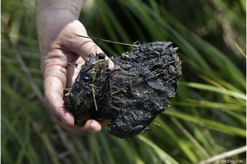 Sparkling waters mask long‑term harm from the 2010 Deepwater Horizon oil spill