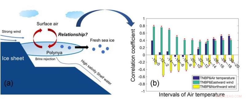 New Study Links Antarctic Polynya Size to Air Temperature Trends