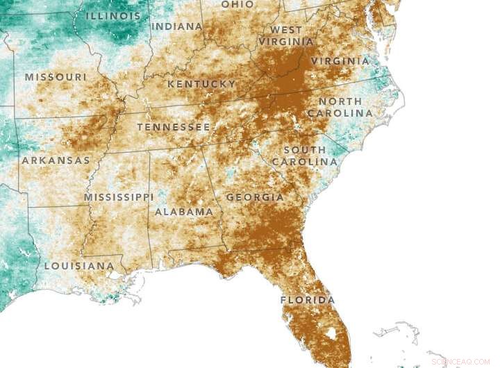 Global Water Awareness: Think Beyond Borders