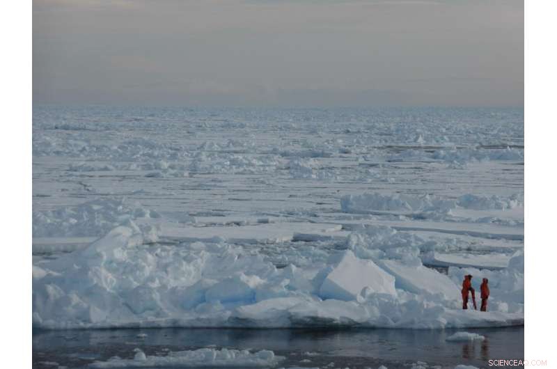 North Pole to Become Ice‑Free in Summer: Climate and Wildlife Implications