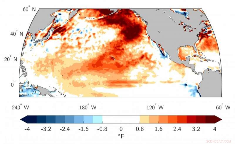 Weak Pacific Winds Triggered Record-Setting 2019 Marine Heat Wave