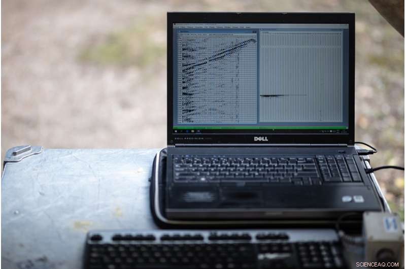 Unveiling Earth s Inner Secrets with Sound Imaging