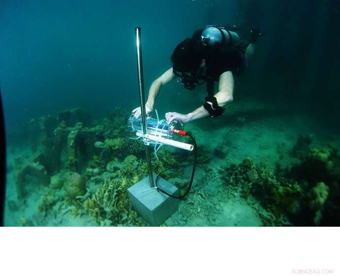 Harnessing AI to Restore Coral Reefs