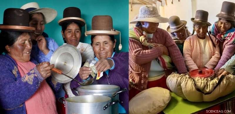 Biomass Cooking: Cleaner Energy Meets Health Concerns