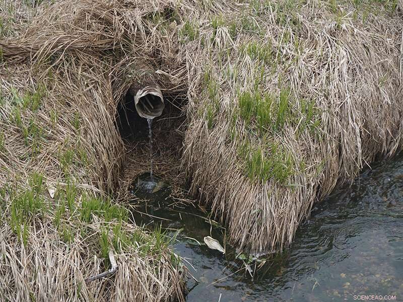 Atrazine Regulations: How They Shape Environmental Health