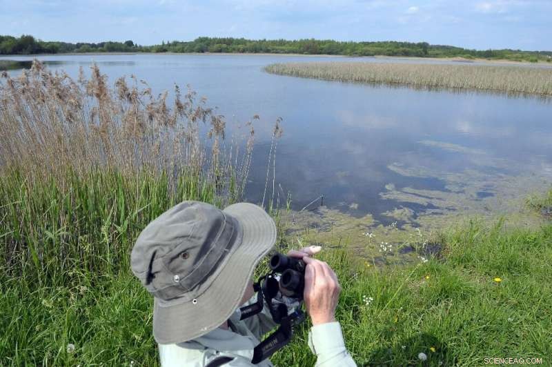 Poland’s Largest Nature Reserve, Biebrza National Park, Devastated by Massive Wildfire