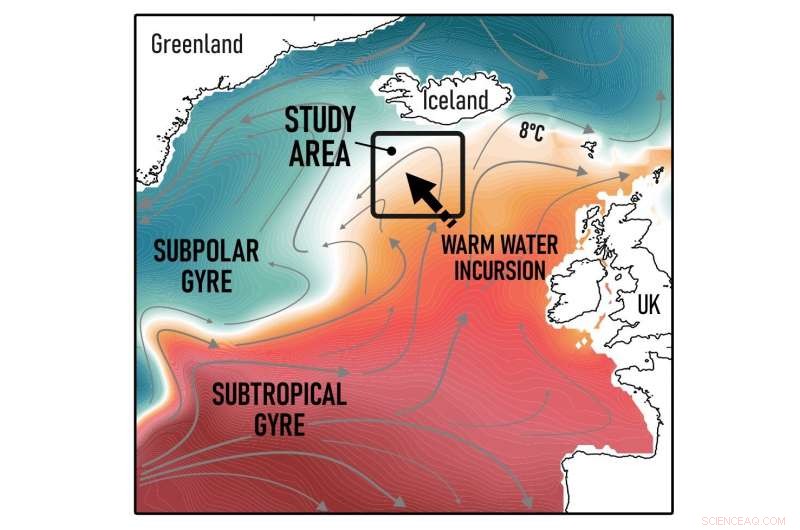 Industrial Era Drives Significant Decline of Cold‑Water Plankton
