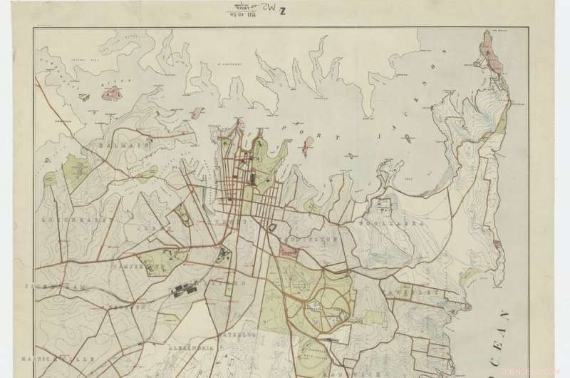 Botany Bay’s Botanical Legacy Threatened by Colonial Development