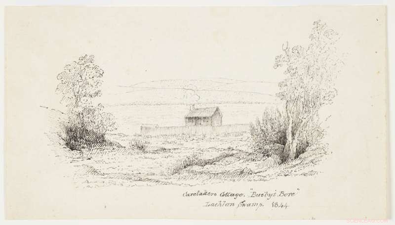 Botany Bay’s Botanical Legacy Threatened by Colonial Development