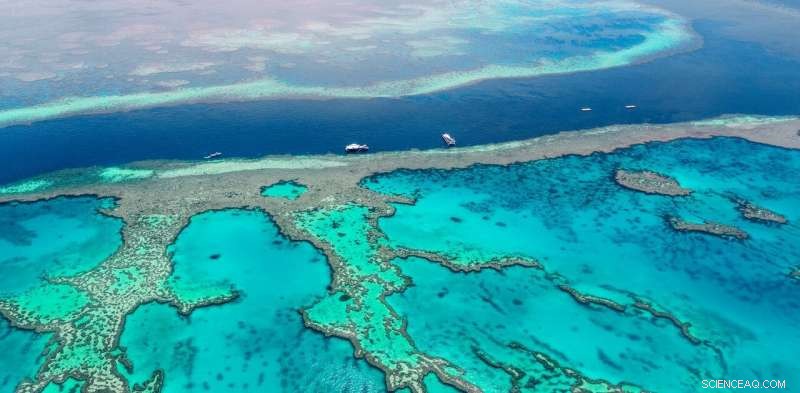 If We Can Land on the Moon, We Can Restore the Great Barrier Reef