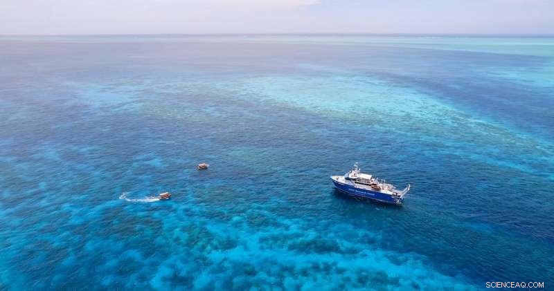 If We Can Land on the Moon, We Can Restore the Great Barrier Reef