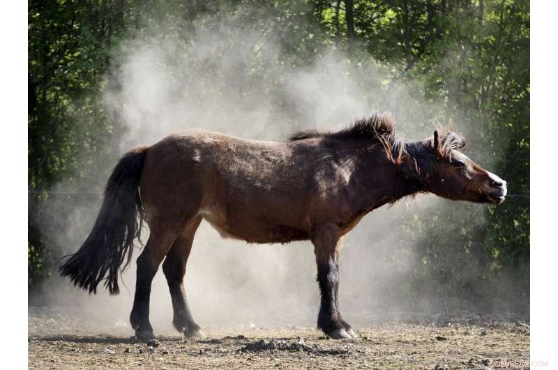 Germany Calls for Rain to End Third Consecutive Summer Drought