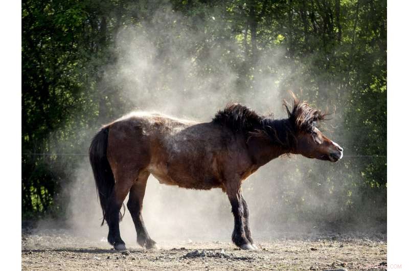 Germany Calls for Rain to End Third Consecutive Summer Drought